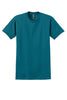 Gildan  T-Shirt  8000
